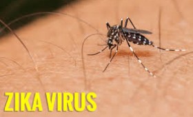 Zika y microcefalia: una conexión no tan automática