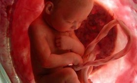 Croacia: la mayoría de los médicos objetan al aborto