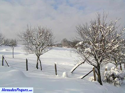 Poesía solidaria: «La Nieve quiere Jugar»