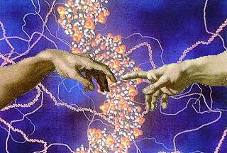 La ciencia, un camino hacia Dios