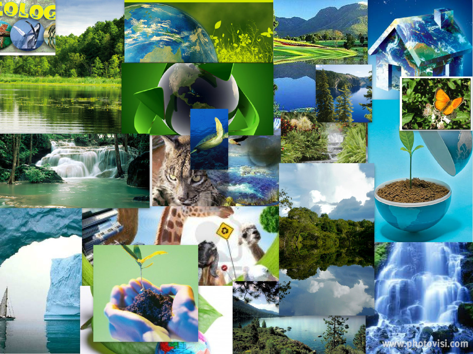 Ecología humana y revolución cultural