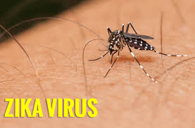 Zika y microcefalia: una conexión no tan automática
