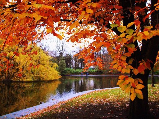 Poesía solidaria: «otoño en los jardines de La Granja»