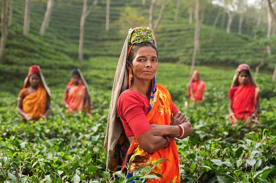 India prohibirá los “vientres de alquiler” para extranjeros