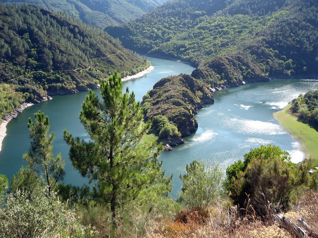 Poesía solidaria: «cañones del Sil»