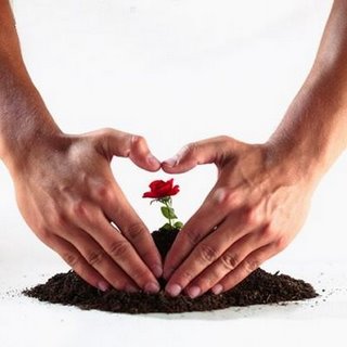 Poesía solidaria: «trabajo y amor»