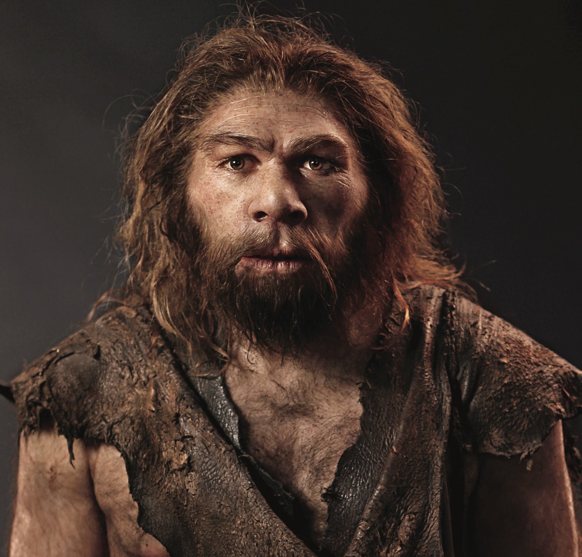 El origen del hombre