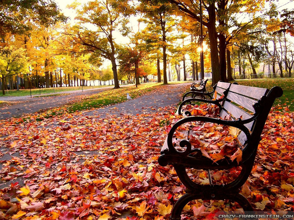 Poesía solidaria: «el viento de otoño»