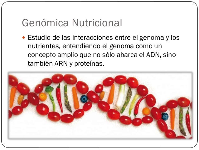 Dietas a la carta: realidad y mito