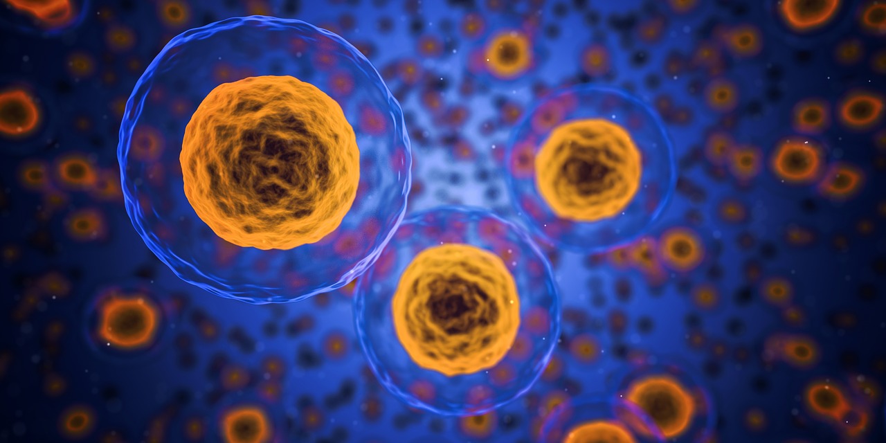 El DNI molecular del cáncer, el quid de la cuestión
