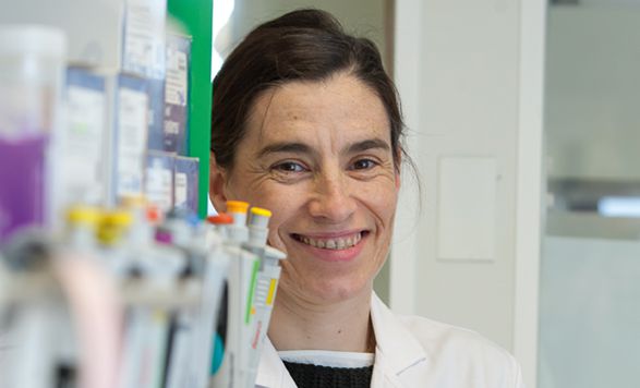 La bióloga del CIMA, Marta Alonso Roldán transforma el virus del catarro para que destruya las células cancerígenas La bióloga del CIMA, Marta Alonso Roldán transforma el virus del catarro para que destruya las células cancerígenas