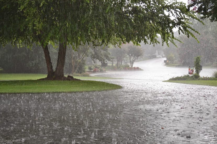 Poesía solidaria: «amiga lluvia»