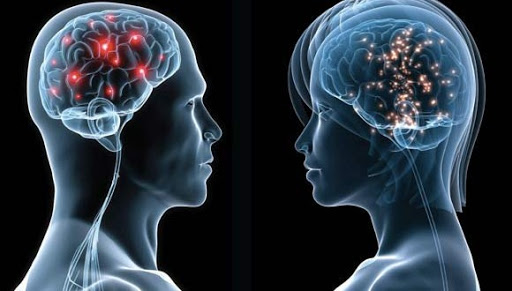 El cerebro enamorado