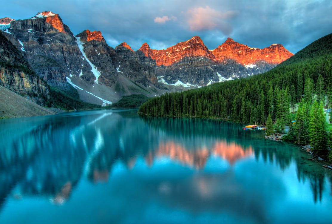 En el día mundial de protección de la naturaleza
