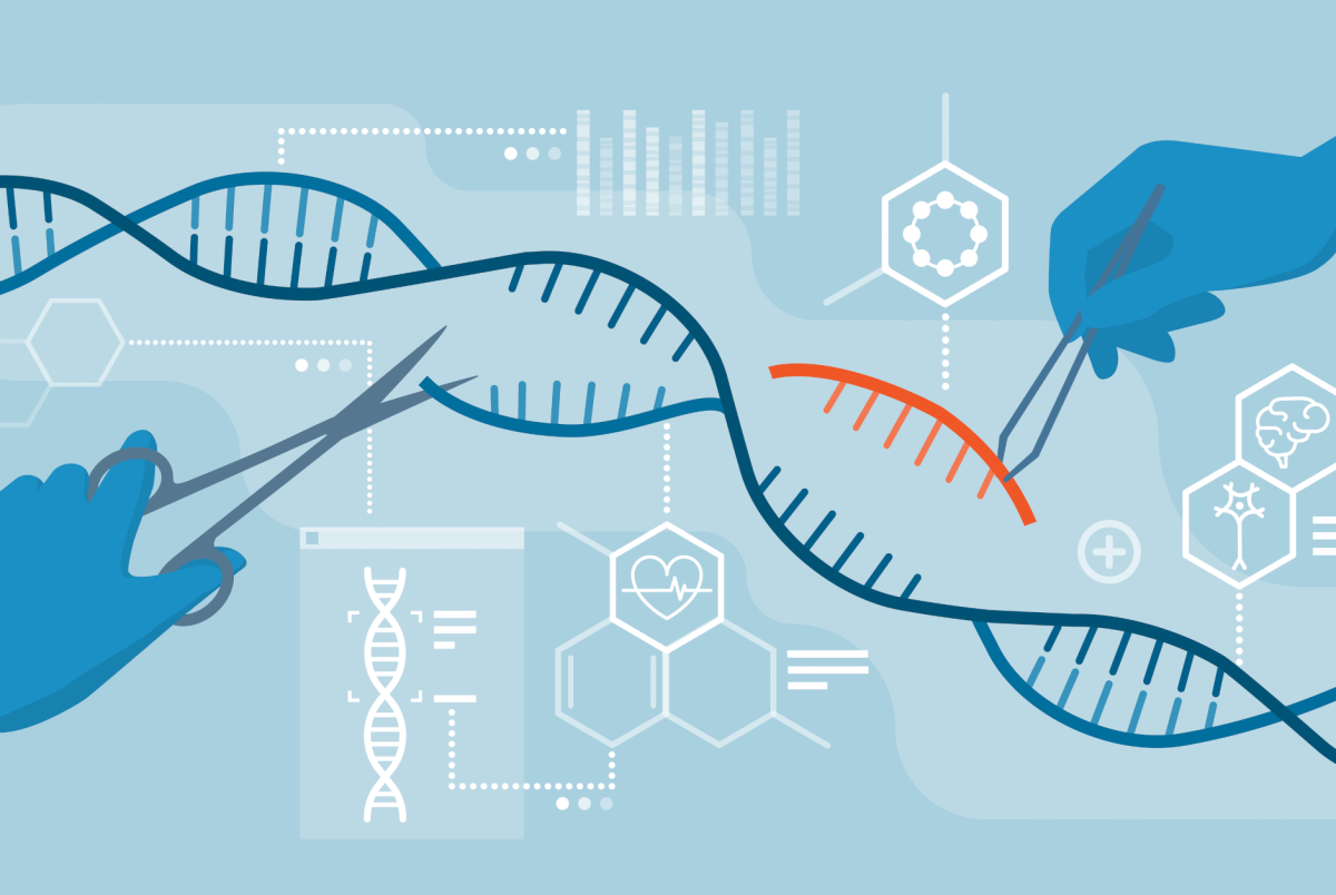 El CRISPR fracasa en embriones humanos