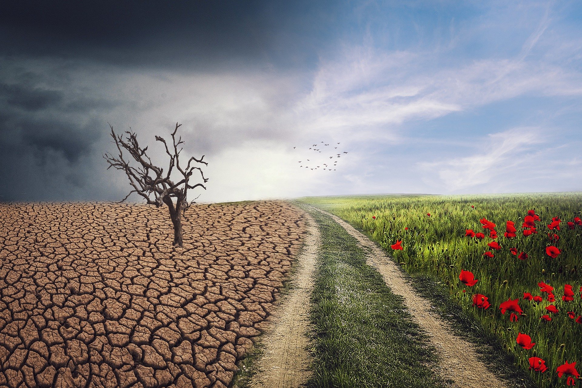 Dimensiones morales del cambio climático
